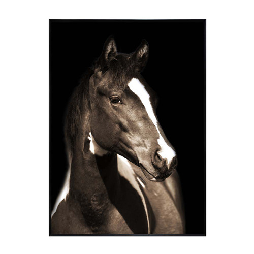 Stalwart Steed Wall Art