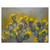 Prickly Pear Morning Canvas Art