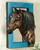 Wild Mustang 3-D Wall Hanging - Left Facing