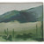 Field of Cactus Outdoor Rug - 3 x 5