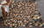 Cowhide Mosaic Rug - Brown - 8 x 12