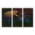 Bison Mist Triptych Gallery Wrapped Panels