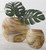 Dunes Swirl Vases - Set of 2