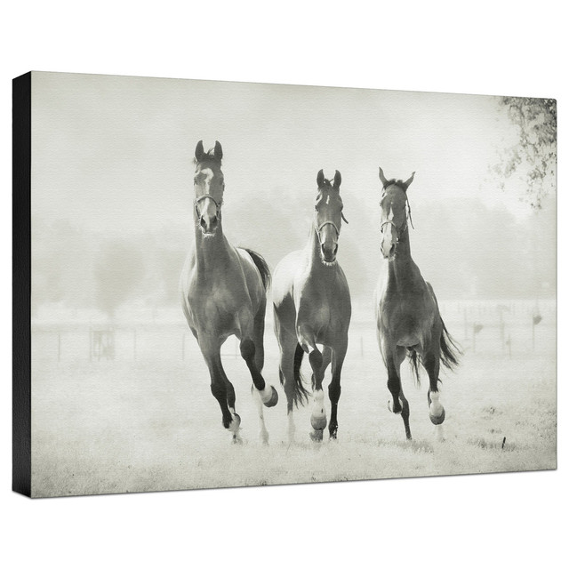 Western Tapestry & Canvas Wall Hangings | Lone Star Western Decor