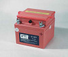 Gill G241 Battery with 3 qts acid - G241D