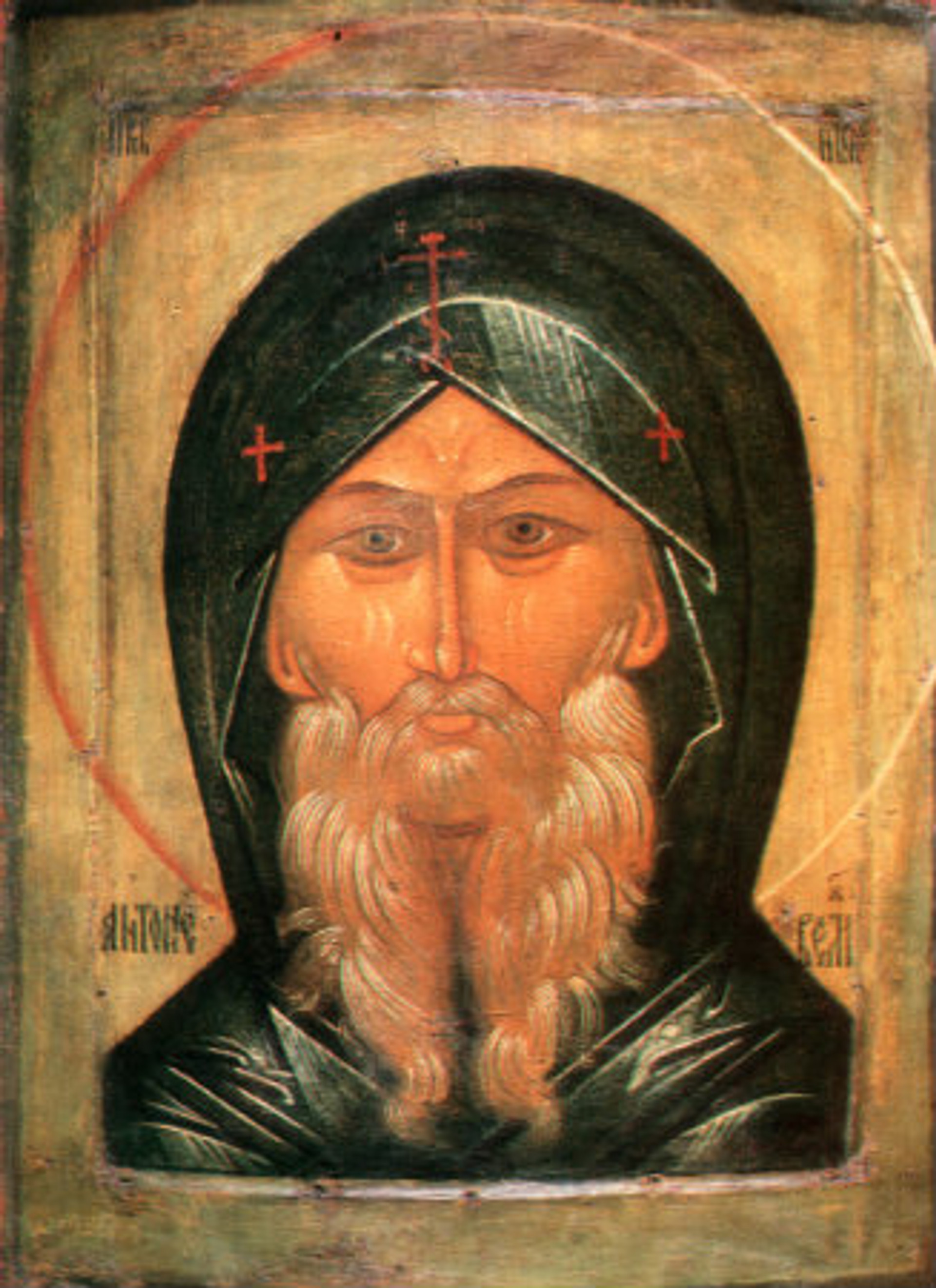 St. Anthony the Great Icon- Icon V - OrthodoxGifts.com