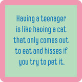 Having A Teenager Coaster