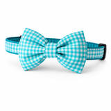 Aqua Check Bowtie Collar