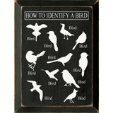 How to Identify a Bird-White - PrimaveraNewport.com