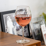 School of Fish Balloon Wine Glass