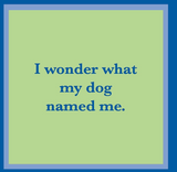 Dog/Cat Named Me Napkin