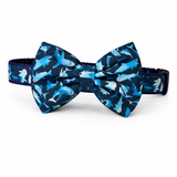 Sharks Bowtie Collar