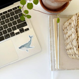 Whale Sticker