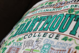 Dartmouth College Pillow