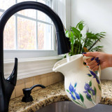 Pitcher-Iris Pitcher-Iris