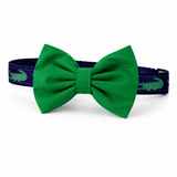 Alligator Bowtie Collar