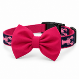 Pink Lobster Bowtie Collar