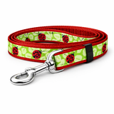 Ladybug Leash