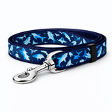 Sharks Leash