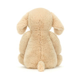 Bashful Luxe Puppy Orlando-Medium