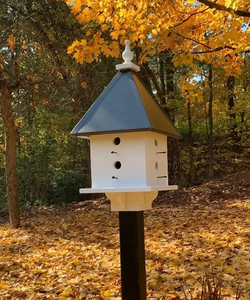 The Magnolia Birdhouse-Black Roof