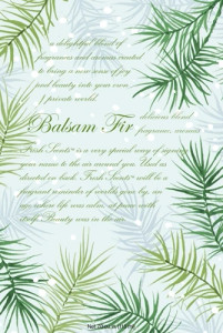 Balsam Fir Sachet Balsam Fir Sachet