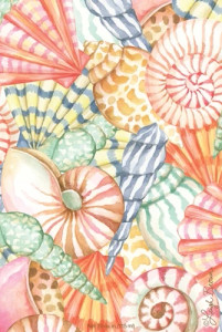 Seashells Sachet Seashells Sachet