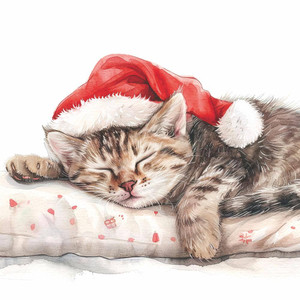 Dreaming About Christmas Beverage Napkins