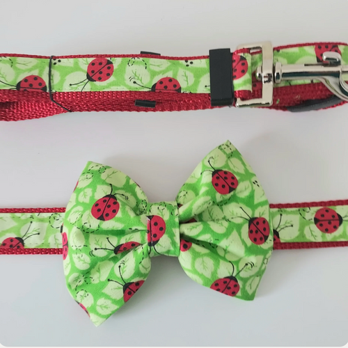 Ladybug Bowtie