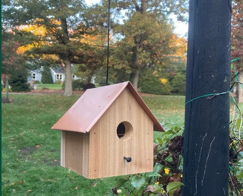 Baby Birdie Birdhouse