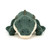 Allexi Alligator Allexi Alligator