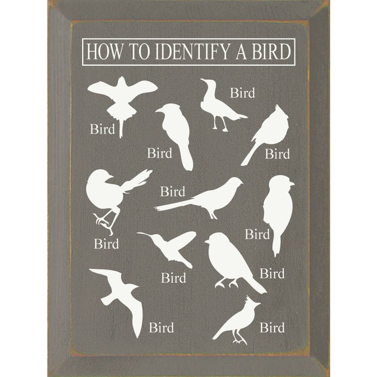 How to Identify a Bird-Gray