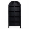 Breya Industrial Black Iron 2 Glass Doors Display Cabinet