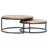 Hayward Blonde Hide Set of 2 Nesting Coffee Tables