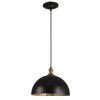 Uttermost Placuna 1 Light Bronze Pendant