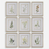 Uttermost Botanical Flowers Framed Prints, S/9