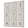 Uttermost Botanical Flowers Framed Prints, S/9