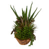 Uttermost Salar Succulents In Teak Bowl