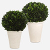 Uttermost Preserved Boxwood Domes Set/2