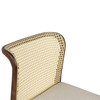 Modern Brazilian - Eloa - Cane Side Chair - Medley Ivory Seat - Nogal Frame - Natural Cane Webbing