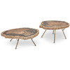 Relique - Lastra Coffee Table - Set of 2 - Polished Stainless Steel Legs - Natural Dark Top
