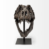 Lagrane 19L x 11W Brown Resin Tyrannosaurus T Rex Dinosaur Skull Replica