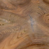 Cypress Teak Root Coffee Table