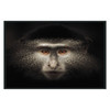 Monkey Photography 48x72