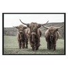 Highland Photography 48x72