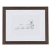 Hare Pencil Study I 22"