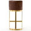 Rory Tobacco Leather + Gold Bar Stool