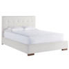 Brooklyn Panel Box-Tufted Queen Upholstered Bed