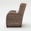 Gabby Coastal Wicker Wing back Accent Chair
