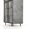 Violet Industrial Distressed Iron Glass Door Display Cabinet